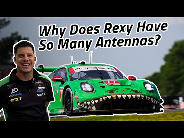 Why Does Rexy Have So Many Antennas?
