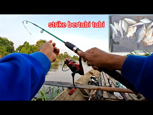 A must-try!! Fishing for Java barb using a mix of pellets and instant noodles, bountiful results ...