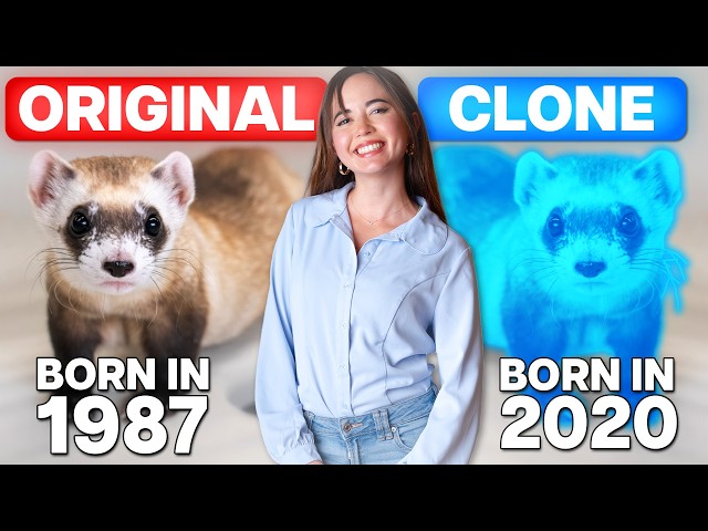 How This Zoo Is Saving Endangered Species With Cloning