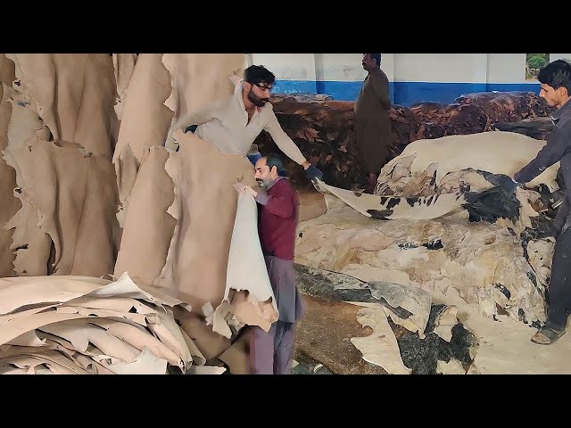 The Intricate Process of Turning Cow Hides Into Premium Leather - Pure Leather Production