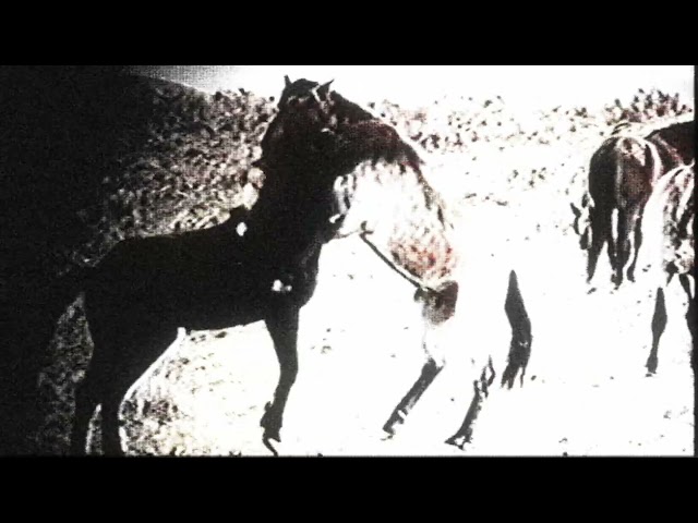 FANTA ROSARIO, Bizarrap - BUKELE (Visualizer)