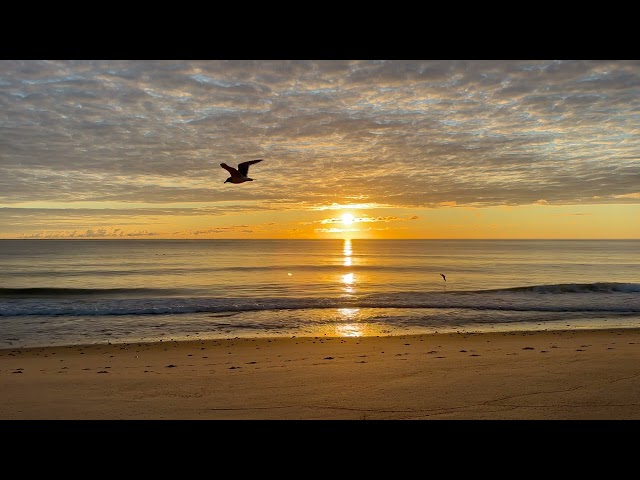 Ocean Waves on Sunny Day at Cape Cod Beach | 4K Real Time Sunrise | Ocean Sounds to Relax and Sleep
