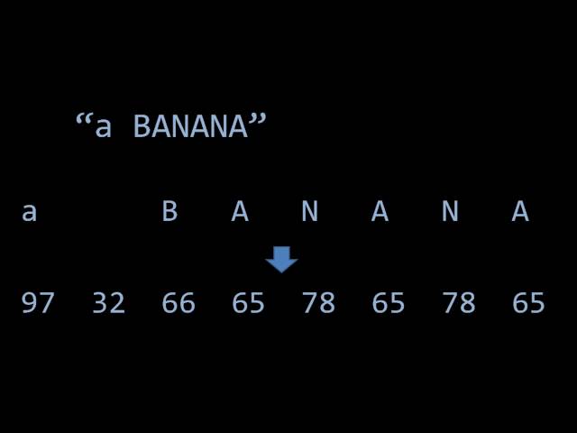 Computer Literacy - (unit 2) - data and files - 1 of 7