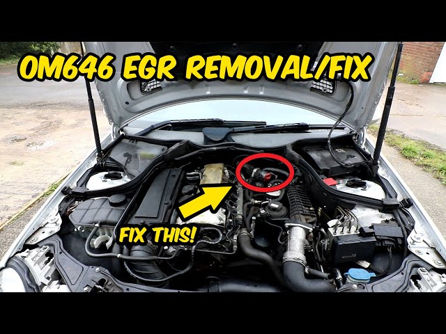 EGR VALVE FIX! How to remove and fix mercedes 220 cdi OM646 EGR valve - No more EML!
