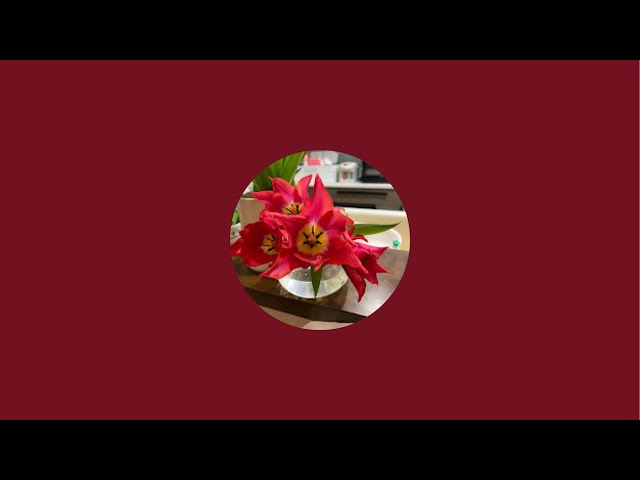 すず乃や無人ライブ配信始めます　日本庭園です