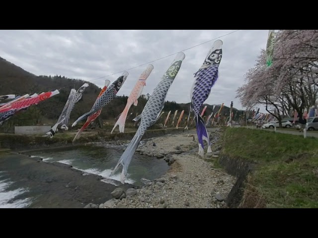 Japanese Traditional Carp steamers  3D VR180 5.7k