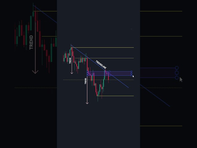 The Best Forex Trading Tps For Beginners
