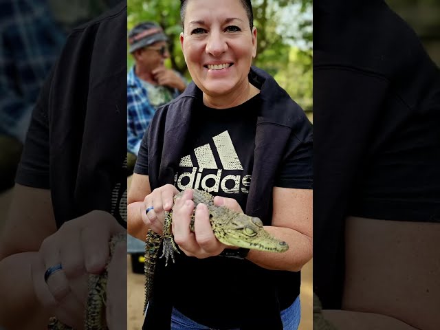 Crockworld  Animal Interaction  - 20 July 2026
