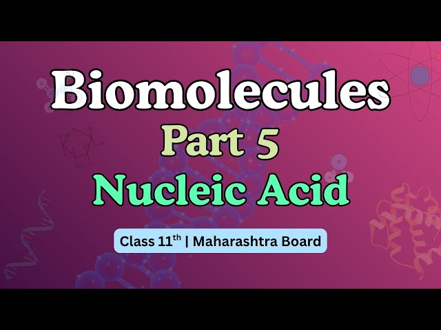 Biomolecules  | Nucleic Acids (DNA & RNA) | 11th  Biology | Maharashtra Board | E-Study Tutorials