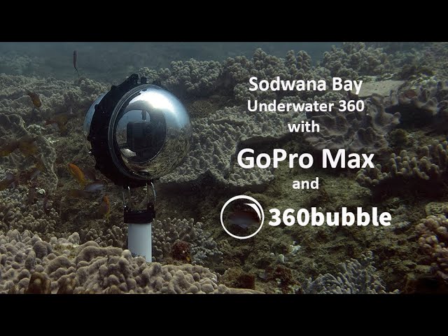 360bubble Max for GoPro Max - Underwater Coral Reef - Sodwana Bay