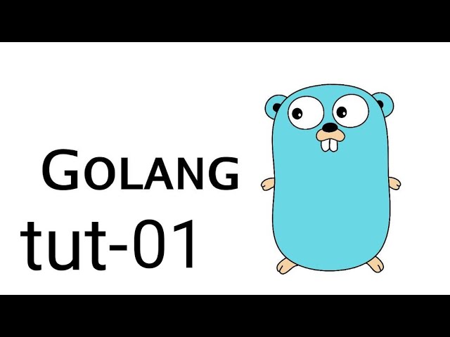 golang tutorial 01 | muo sigma classes
