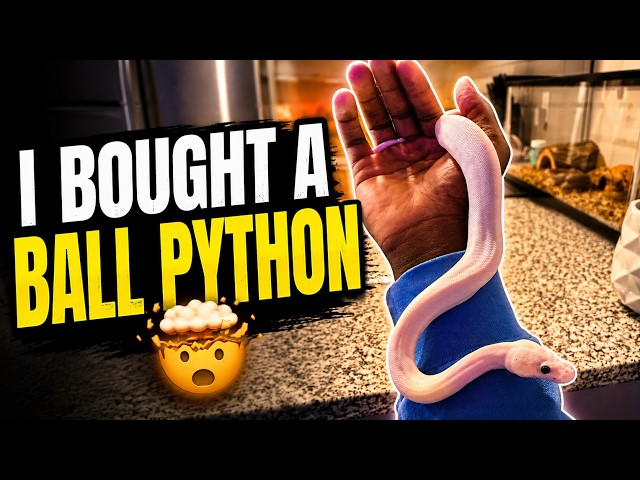 I Bought My First Snake!!