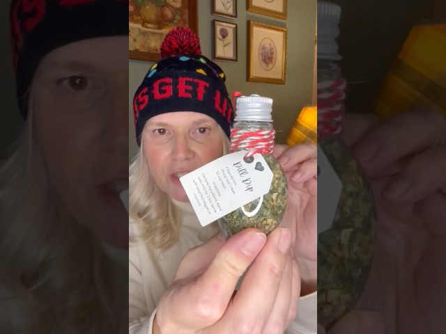 Meet Moxie 🐈 + Homemade Holiday Gift Ideas