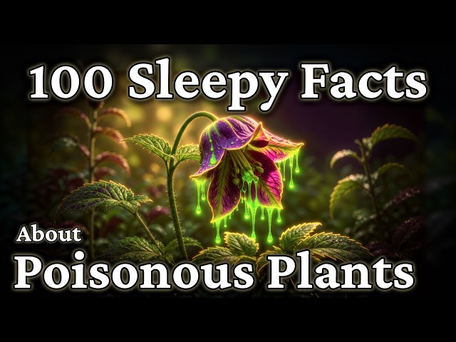The Most Relaxing Facts About Poisonous Plants to Fall Asleep To