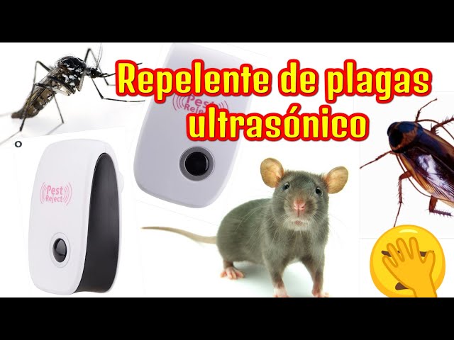 Ultrasonic electric pest repellent. Does it work? Pest Reject