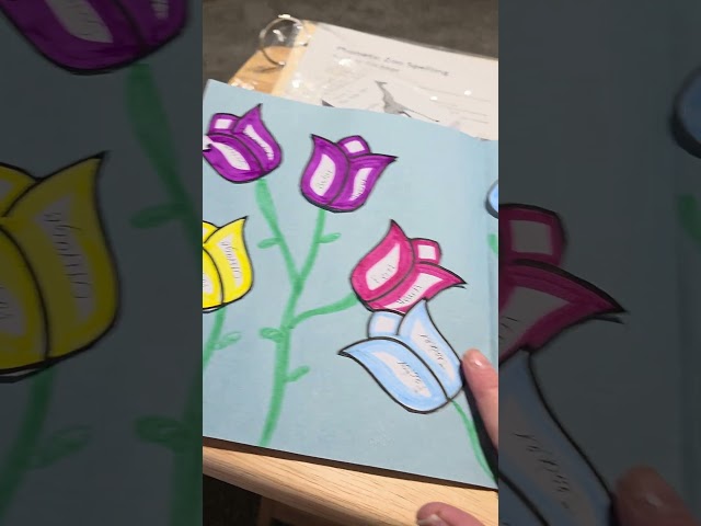 Quick & Effective Spelling for Homeschool || Phonetic Zoo