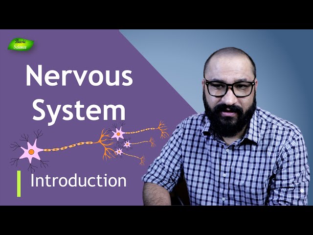 Nervous System Crash Course | Nervous system Introduction | Neuroscience | Basic Science Series
