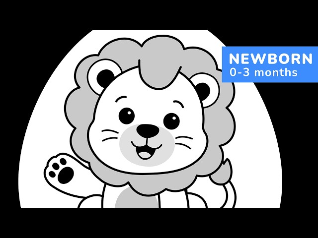 High Contrast Baby Sensory for Newborns | Calm Scrolling Animals in Shapes | 4K