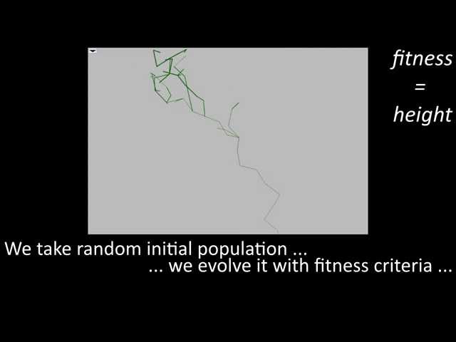 Virtual Creatures - batchelor's thesis video presentation