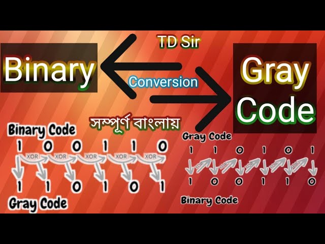 Binary to Gray Code Conversion || গ্রে কোড থেকে বাইনারি সংখ্যার রূপান্তর || TD Sir Computer