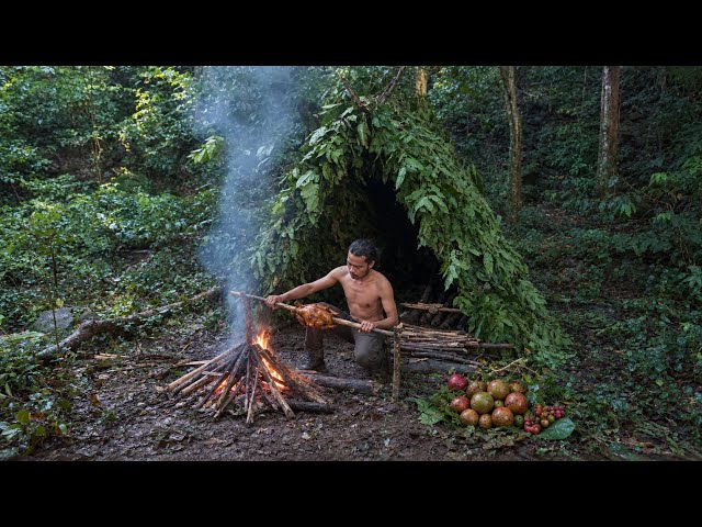 I Got Lost! Surviving 100 Days Alone in the Sulawesi Jungle | Episode 10
