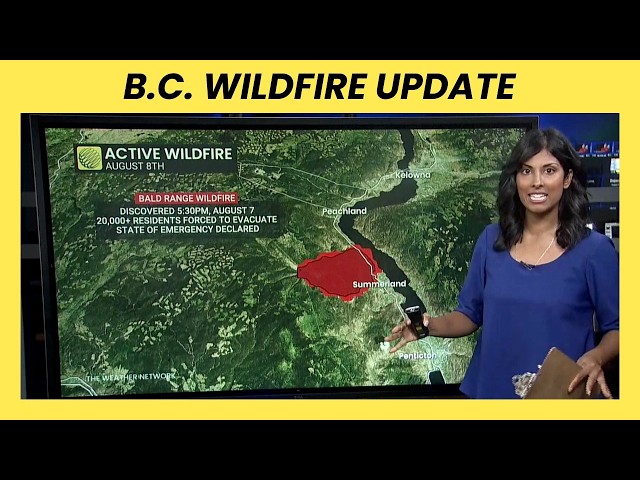 State of emergency issued for B.C. as wildfires continue to grow | #wildfire