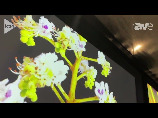 InfoComm 2024: Appotronics Presents MK625A M-Series 4K 6200-Lumen Compact Projector