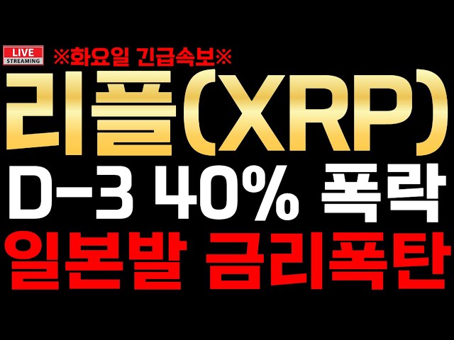 리플XRP D-3 40% 폭락 일본발 금리폭탄 터진다!! 대응법 공개 리플전망 리플분석 리플코인 엑스알피 엘스알피전망 리플코인전망실시간 리플코인실시간 알트코인분석 알트코인추천