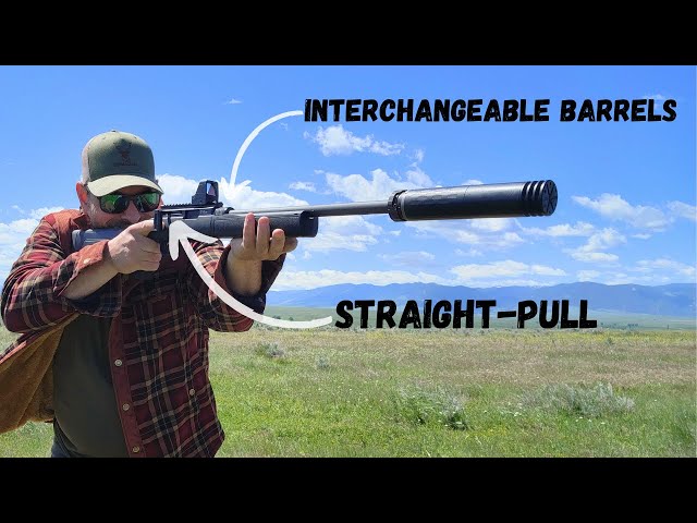 Hammerli Force B1 Accuracy Test: Is It Worth Your Money?