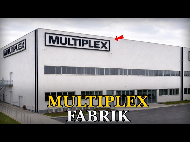 From Model Aviation Empire to Ruin: The Tragic Fate of Multiplex