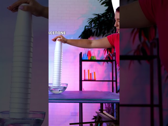 🧪 Splash-tastic Science Fun: Soap & Water Experiments!