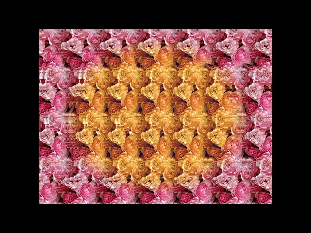 5 Hidden Images Magic Eye Pictures