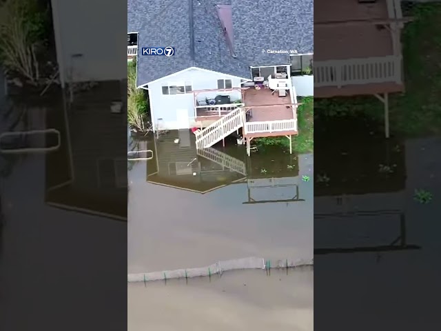 Waterways around western WA reaching major flood stage #atmosphericriver #flooding #pnw #news