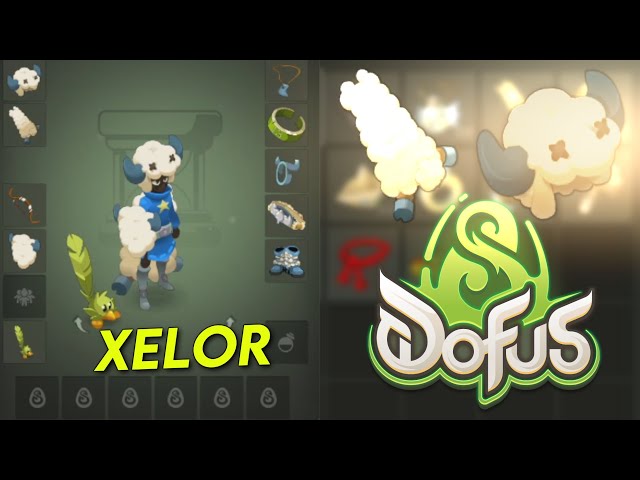 XELOR 1 A 200 EN KOLIZEUM SUR DOFUS 3 !