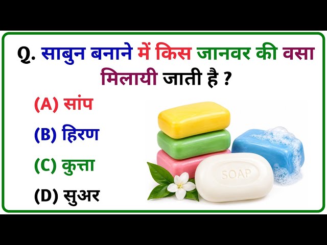 GK Quiz in Hindi | GK Questions and Answers | General Knowledge Quiz | Trisha GK