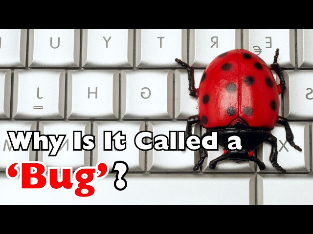 Why Programmers Call Errors “Bugs”