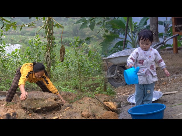 Stacking stones - harvesting potatoes with my daughter - everyday life