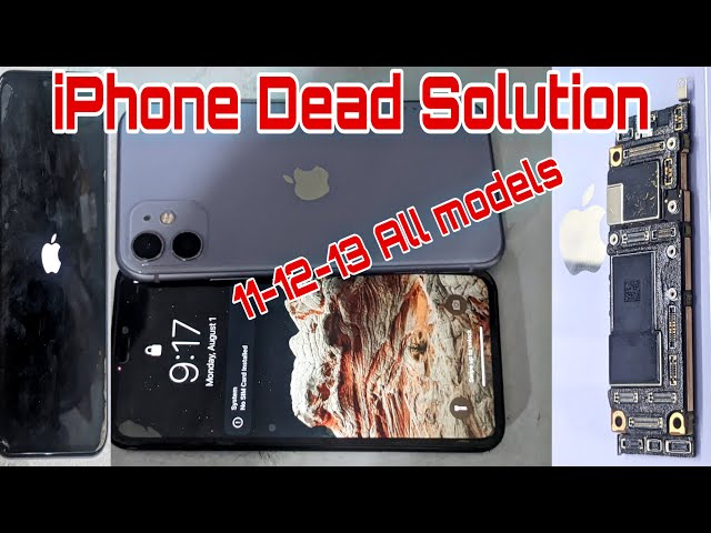 iPhone 11 full dead solution | iPhone 11 12 13 not turning on fixed