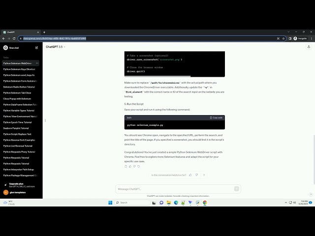 python selenium webdriver chrome example