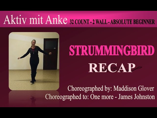 Strummingbird - recap with Anke
