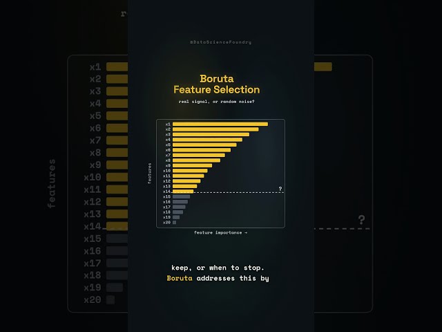 Boruta Feature Selection