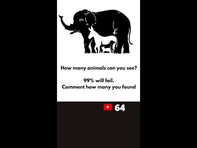 IQ-TEST: Can you solve it?
