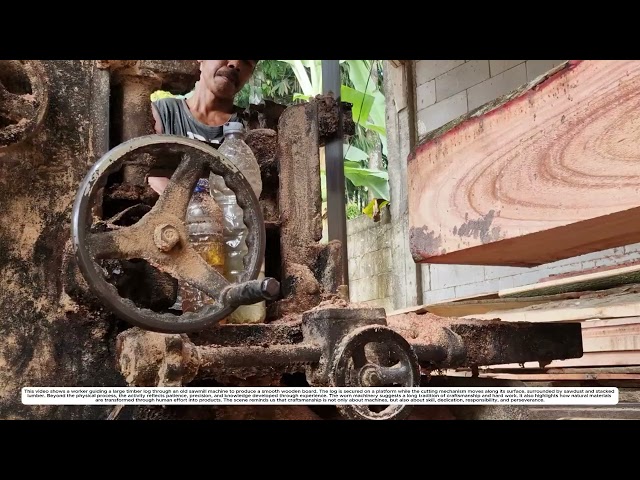 Wood Processing: How a Band Saw Turns Rough Logs Into Flat Timber 