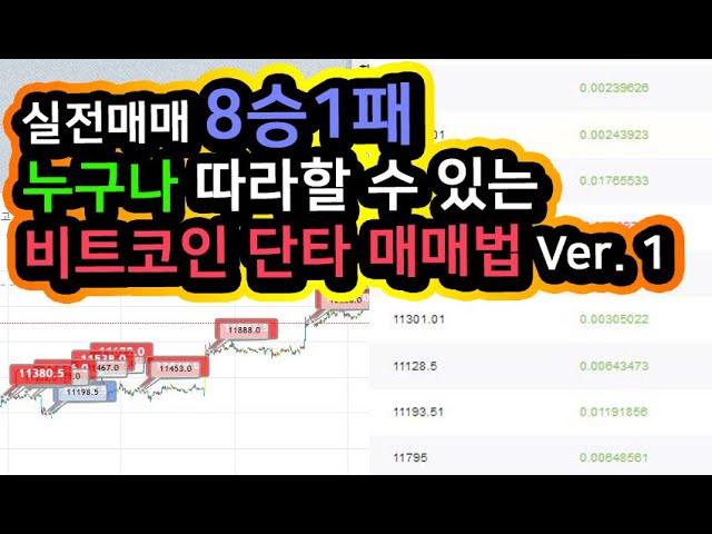 ENG] 누구나 쉽게 따라하는 비트코인 단타매매법 (바이비트/비트맥스)