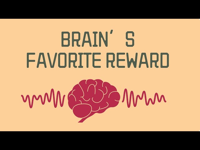 What Is Your Brain’s Favorite Reward?