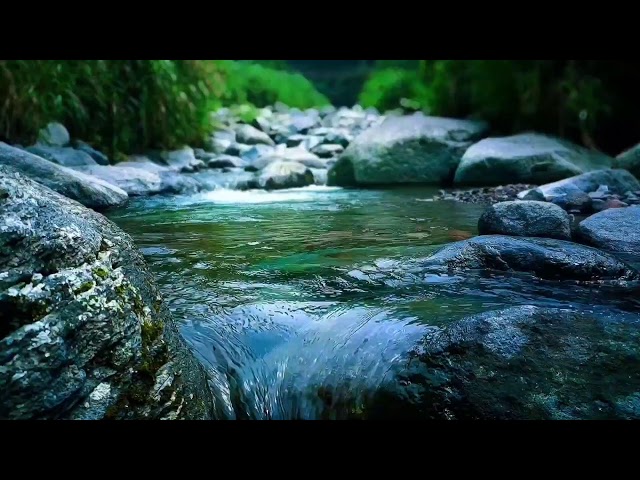 Serene River Sounds Sleep Therapy for Insomnia, Stress Relief & Relaxation