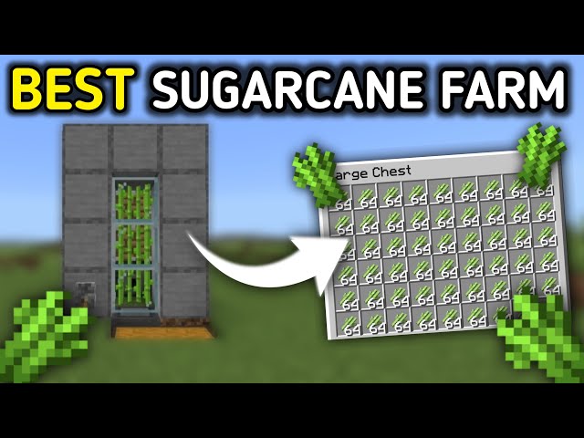 Minecraft Bedrock: EASY BEST Sugarcane Farm Tutorial in 1.21! (MCPE/X-BOX/PC/Nintendo Switch/PS5)