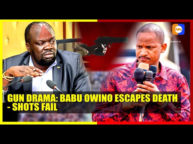 Gun Drama in Kilimani: Babu Owino Nearly Shot! Inside the Alai Confrontation