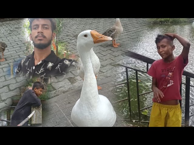 আমি আজি বেলশ মন্দরলো আহিছু ফুরীবৈলো#HackTech #Hack Tech Vijay #MiniVlog#TempleVlog#Nature