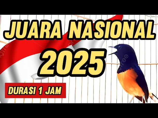 Masteran MURAI BATU JUARA NASIONAL 2025 Full Materi #juaranasional